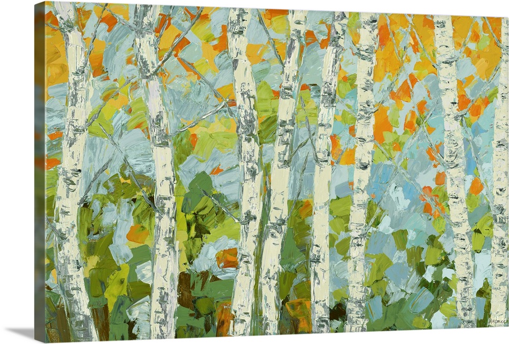A group of birch trees with colorful autumn leaves.