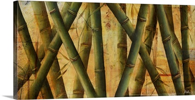 Bamboo Forest II