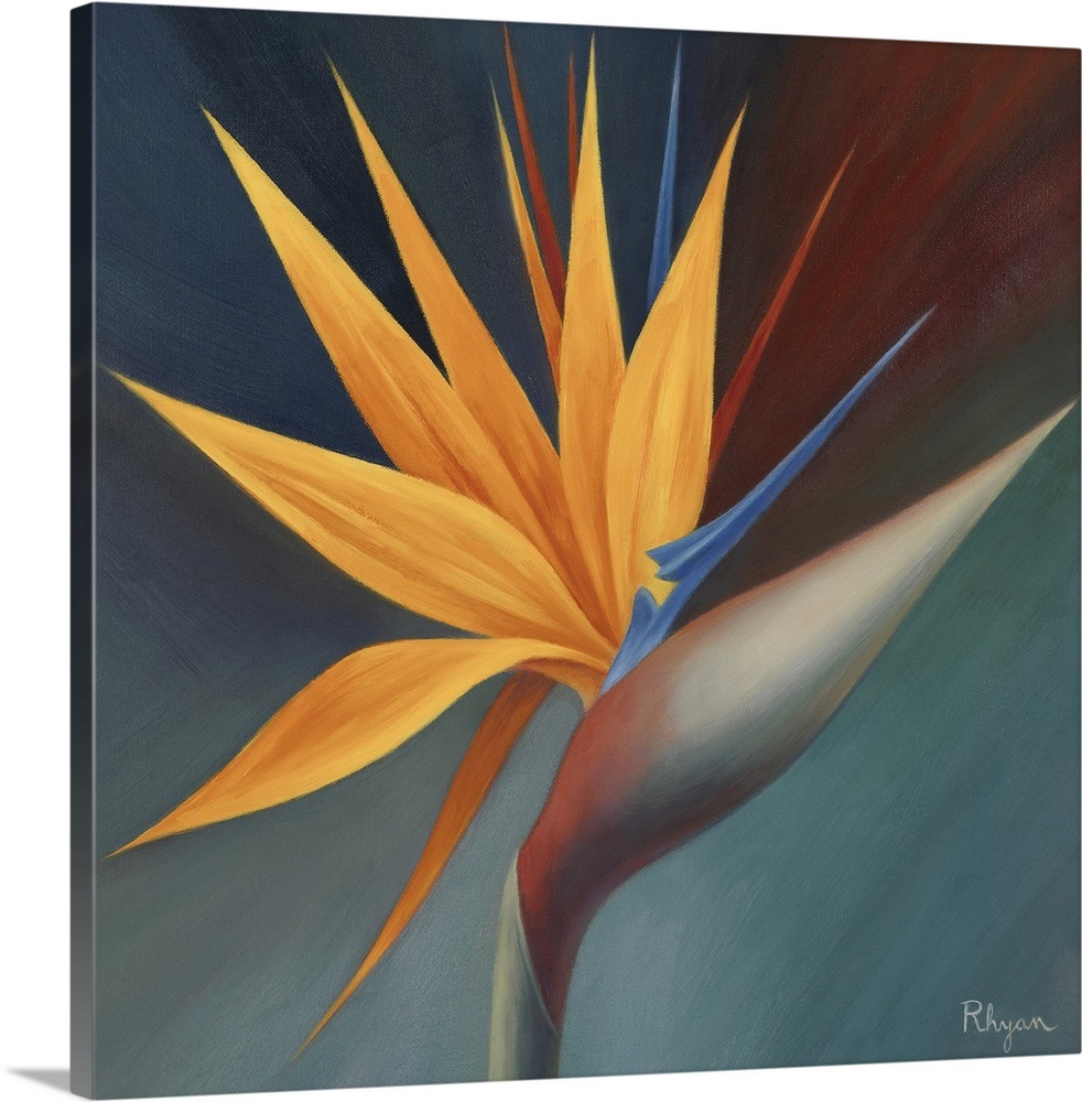 Bird of Paradise I Wall Art, Canvas Prints, Framed Prints, Wall Peels ...