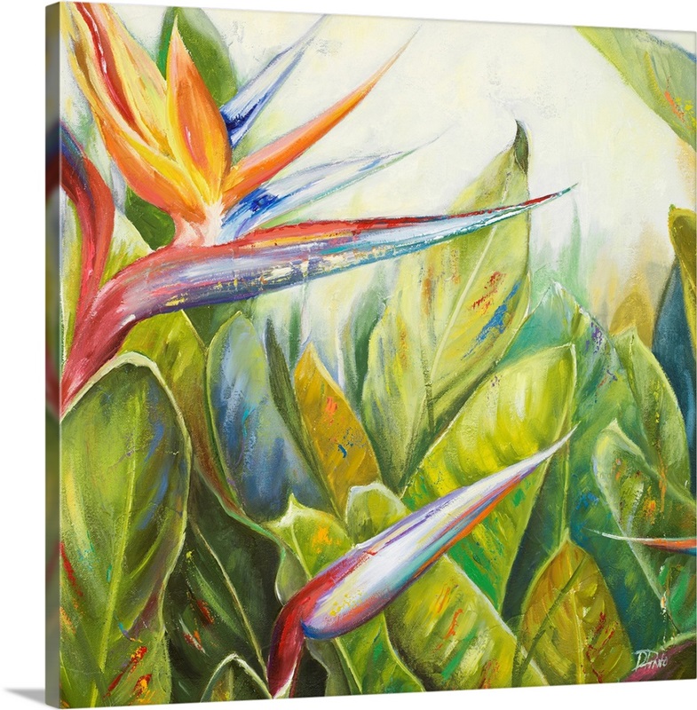 Bird of Paradise II Wall Art, Canvas Prints, Framed Prints, Wall Peels