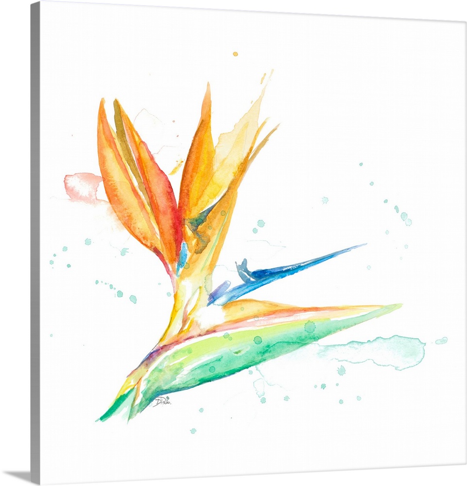 Contemporary artwork featuring a tropical watercolor flower with paint splatters over a white background.