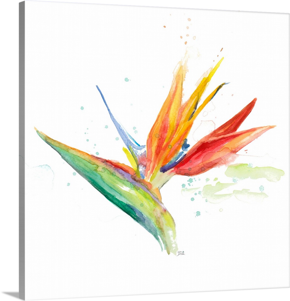 Contemporary artwork featuring a tropical watercolor flower with paint splatters over a white background.