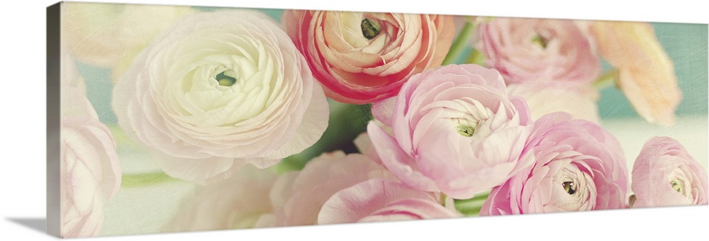 Blushing Blossoms Panel