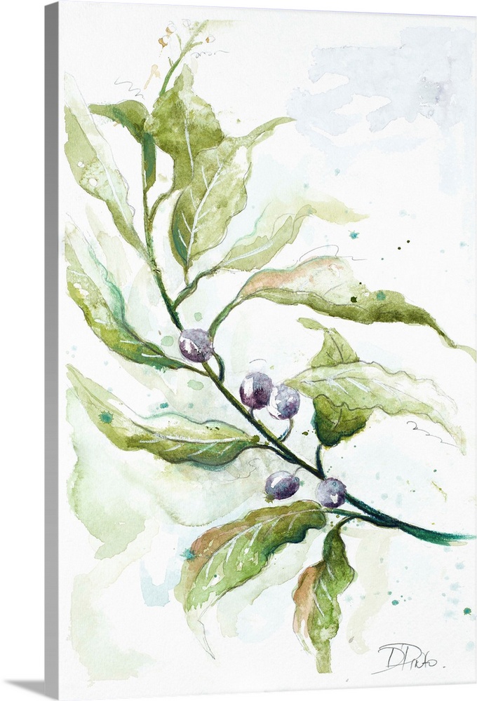 A watercolor painting of a branch with leaves and berries.