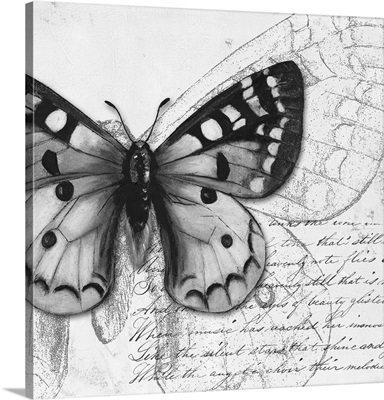 Butterfly Studies I