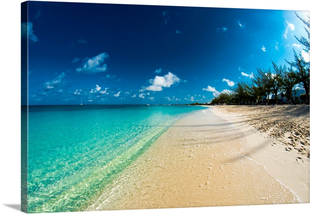 A photograph of a seashore on the Cayman Islands with crystal clear water.