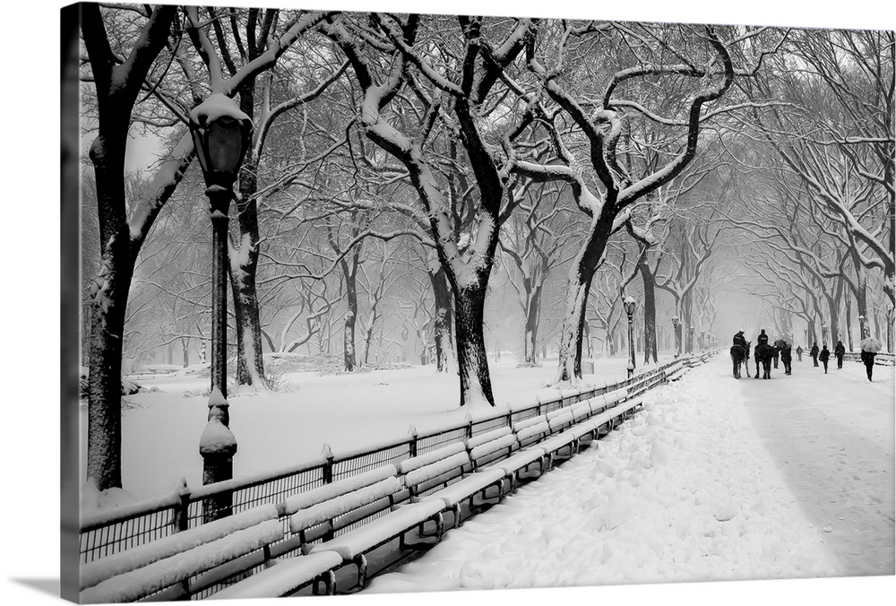 People walking along a snow-covered walkway under the trees in Central Park, New York.