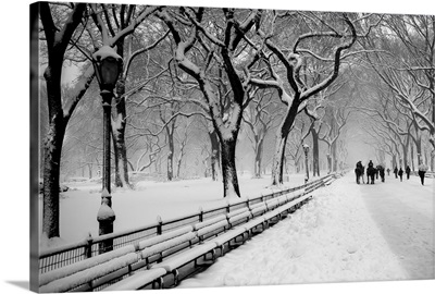 Central Park Snow