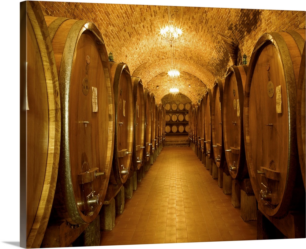 This interior photograph looking down a corridor in a wine cellar filled with massive casks of wine.