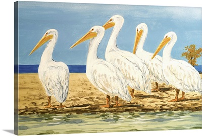 Coastal Flock I