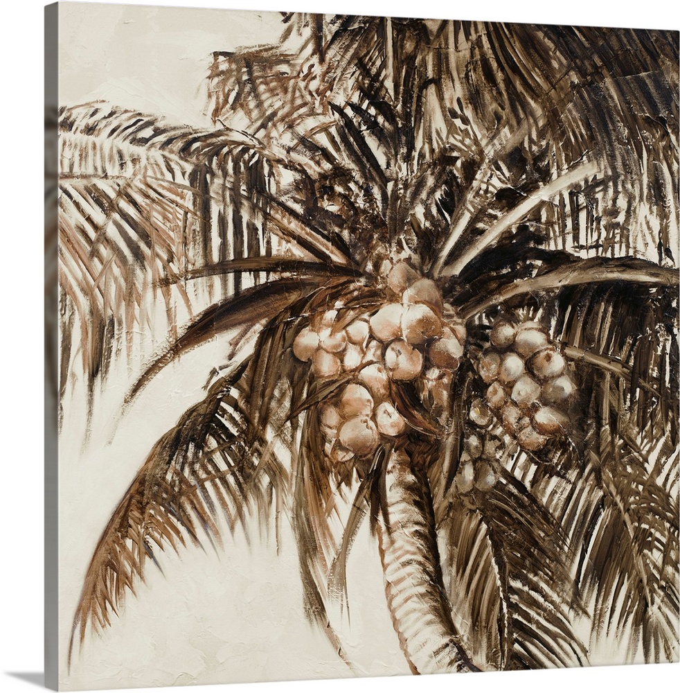 Coconut Palm I