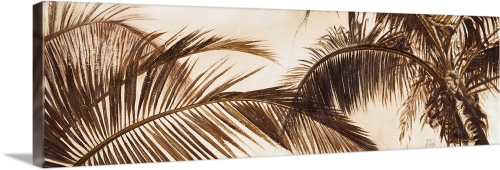 Coconut Palms