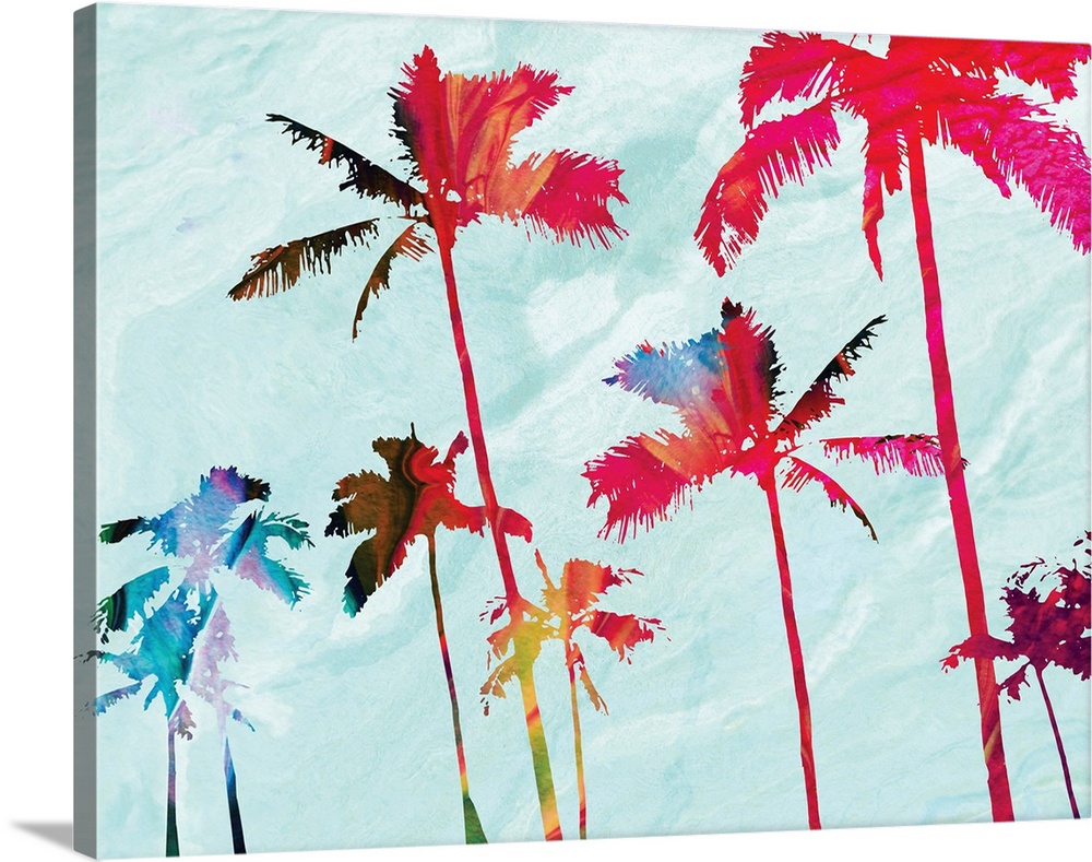 Colorful Beach Palms