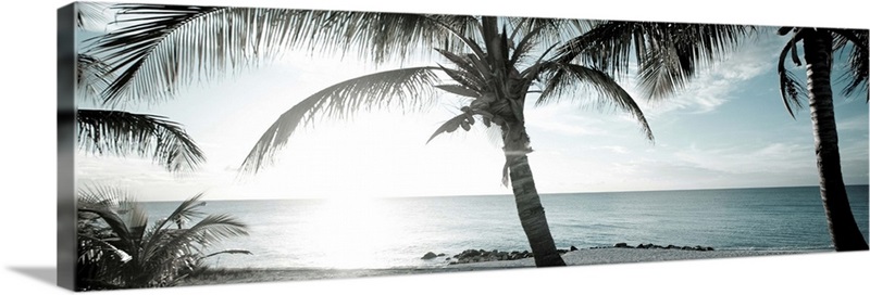 Cool Bimini I Wall Art, Canvas Prints, Framed Prints, Wall Peels ...