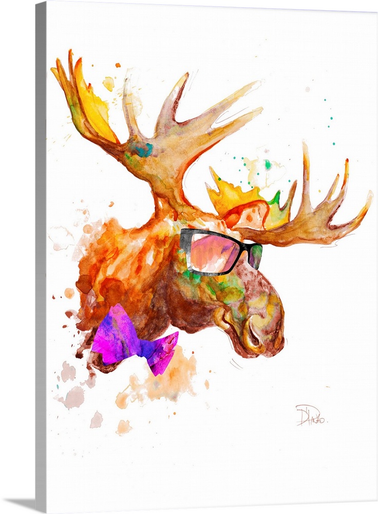 Cool Moose