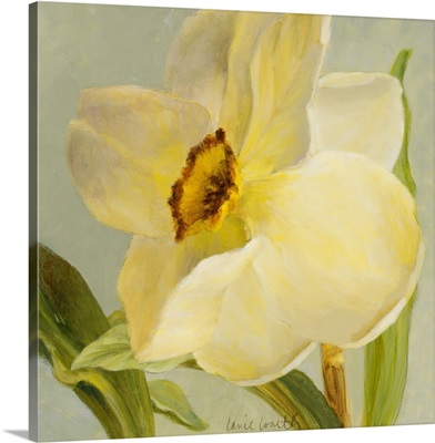 Daffodil Sky II