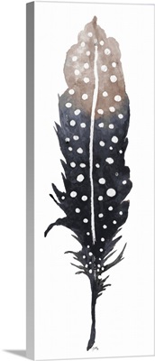 Dark Feather with Spots