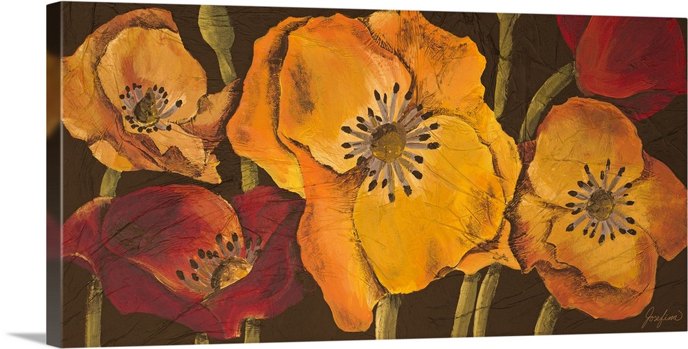 Panoramic artwork of blooming poppy flowers and stems in vibrant tones against a dark background.