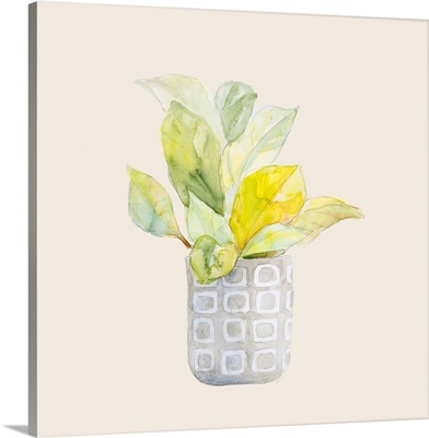 Decorative Potted Plant II