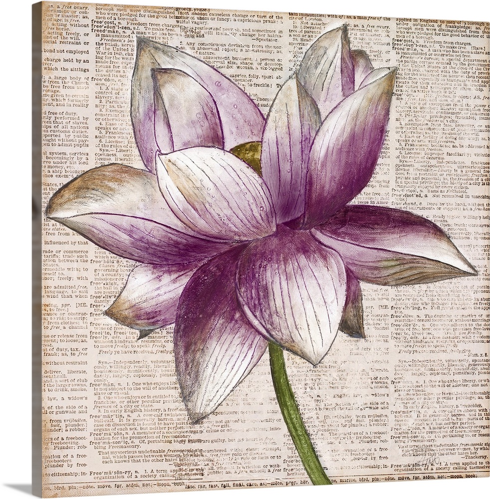Square artwork of a white and purple lotus flower floating over bible text.