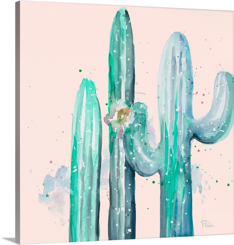 Desert Cactus on Blush