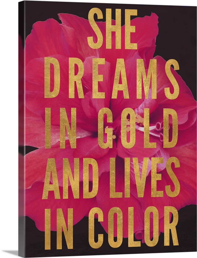 Block text that reads "She dreams in gold and lives in color" over an image of a red flower.