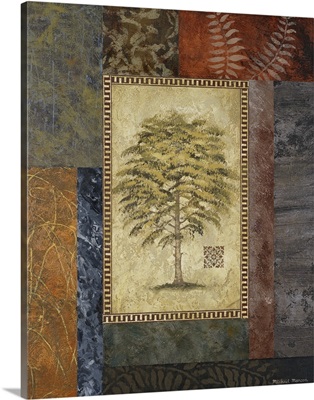 Eucalyptus Tree II