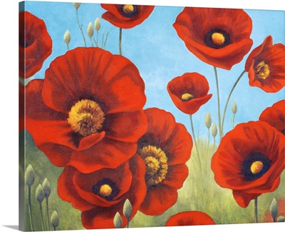 Field of Poppies I