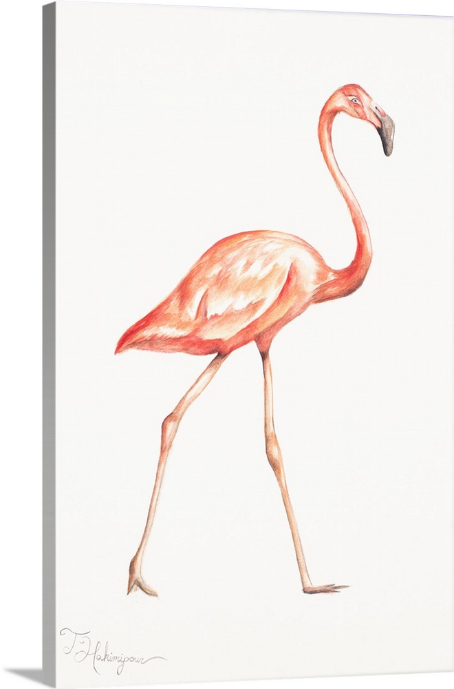 Illustration of a tall pink flamingo on both feet on a solid white background.