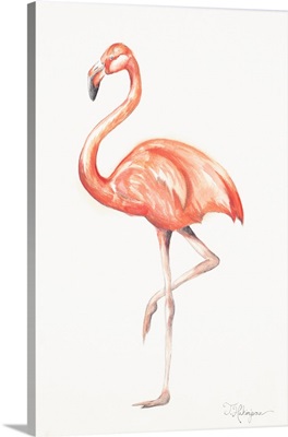 Flamingo Duo II