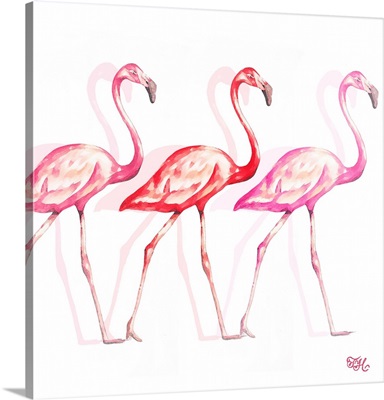 Flamingo Trio I