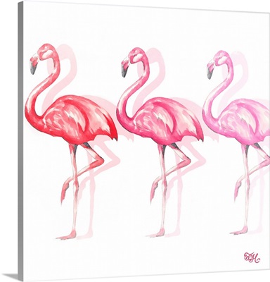Flamingo Trio II
