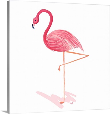 Flamingo Walk II
