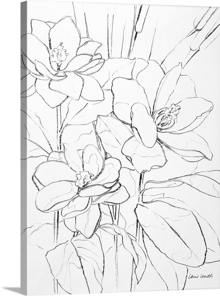 Floral Sketch I