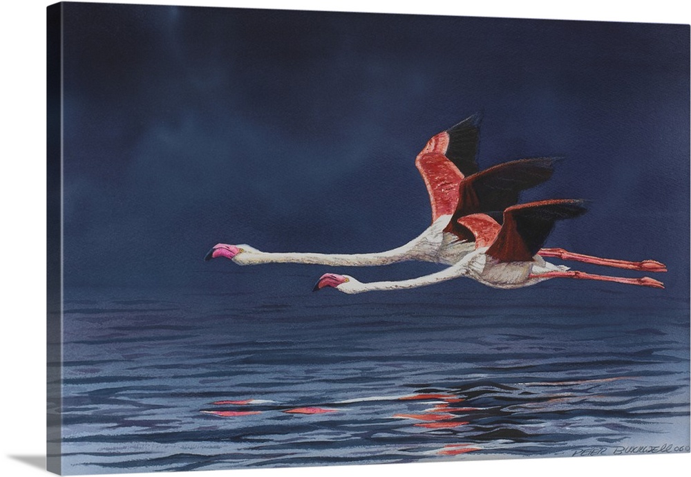 Contemporary painting of two Greater Flamingos flying low over the water.