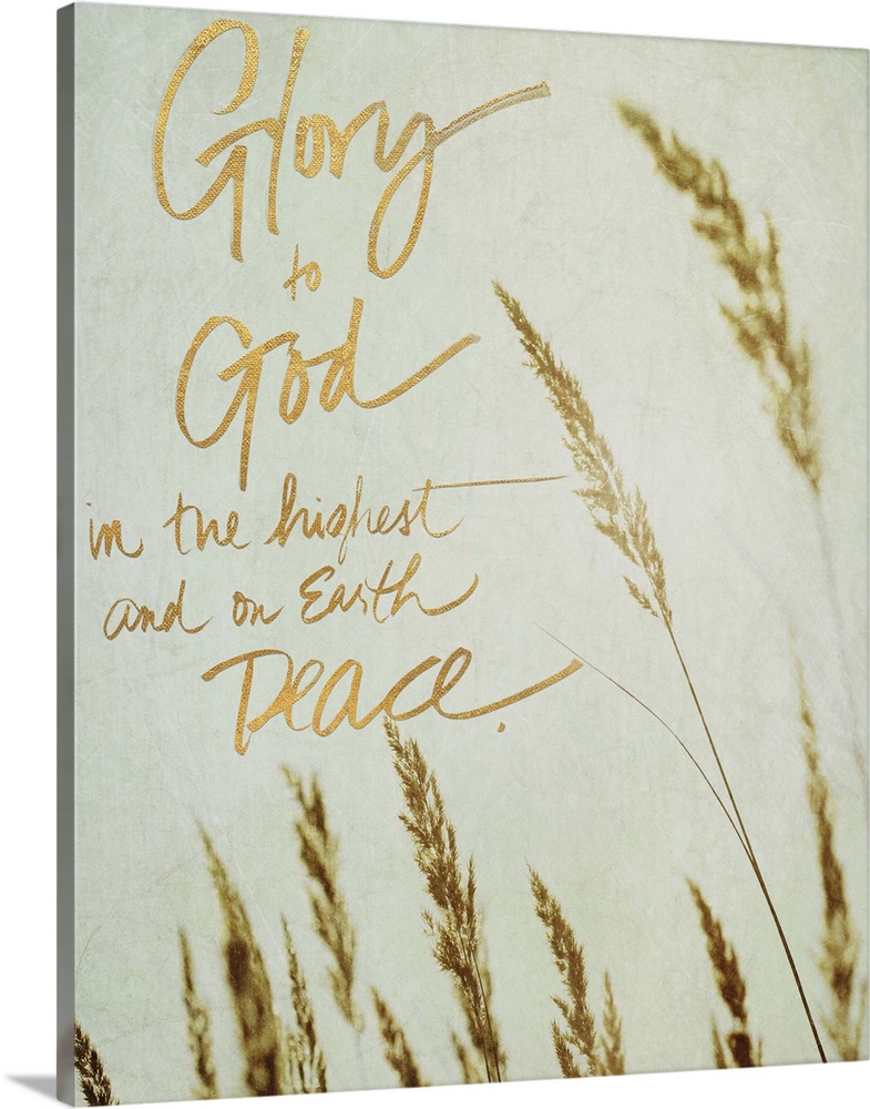 Photograph of the tips of beach grass swaying in the wind with the quote "Glory to God in the highest and on Earth peace" ...