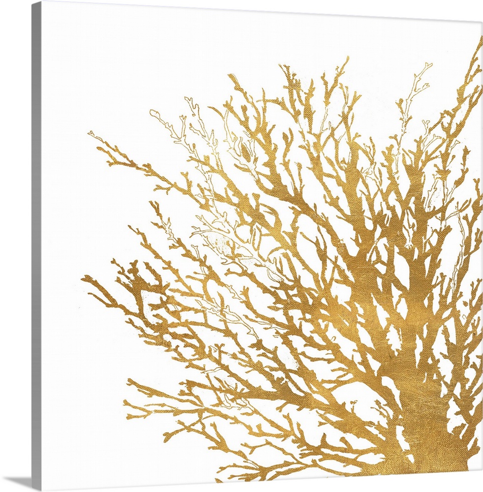 Decorative artwork of a coral silhouette against a white background.