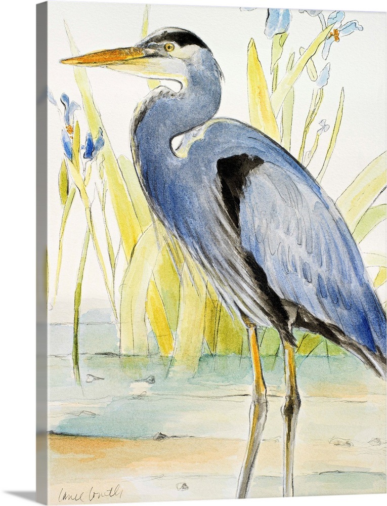 Great Blue Heron Wall Art, Canvas Prints, Framed Prints, Wall Peels ...