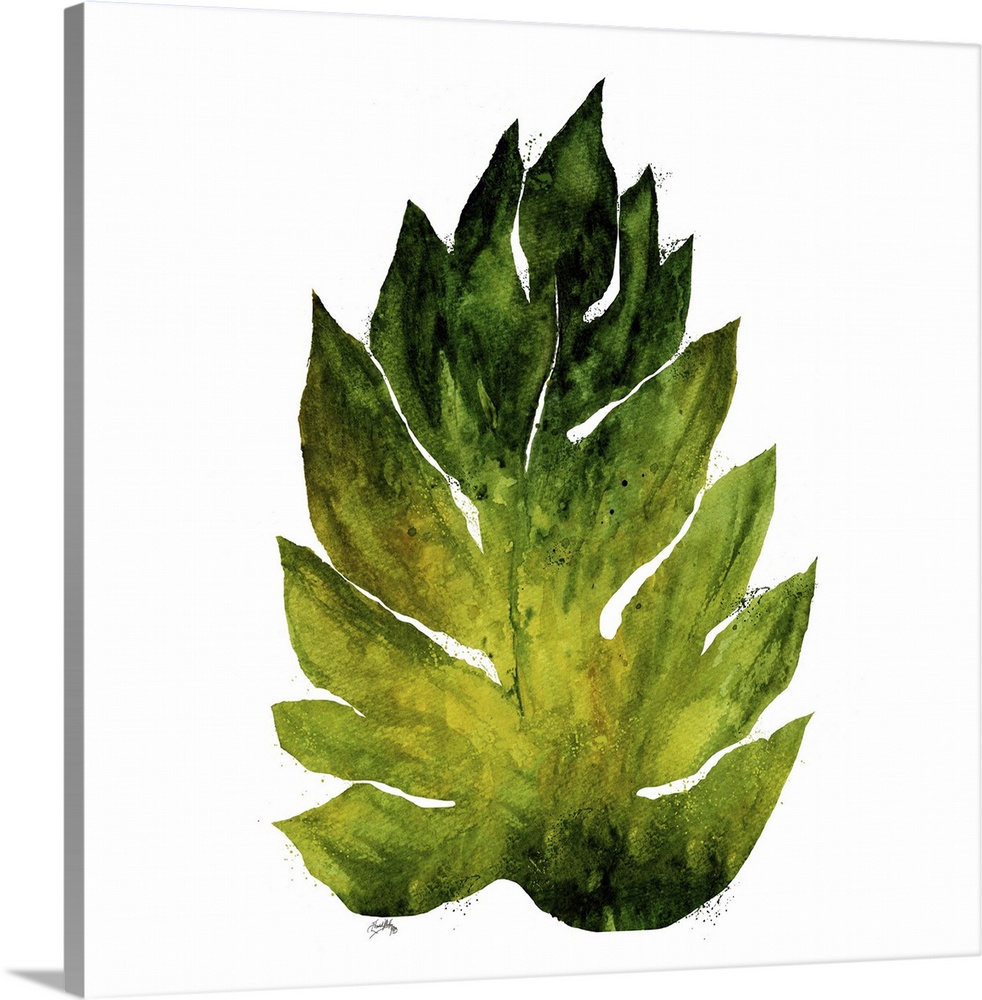 Square watercolor painting of a big leaf in shades of green on a solid white background.