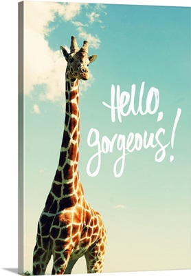 Hello Gorgeous Giraffe