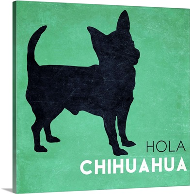 Hola Chihuahua