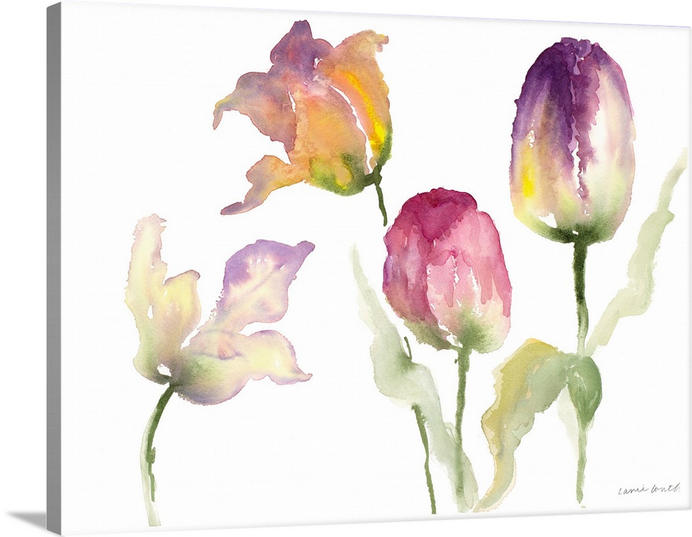 Watercolor painting of several yellow and purple tulip flowers.
