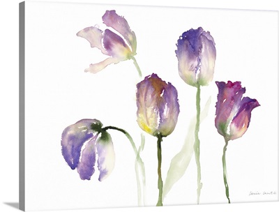Lavender Hues Tulips II