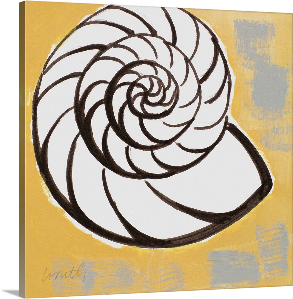 A spiral shell design with bold outlines on a grey and yellow background.