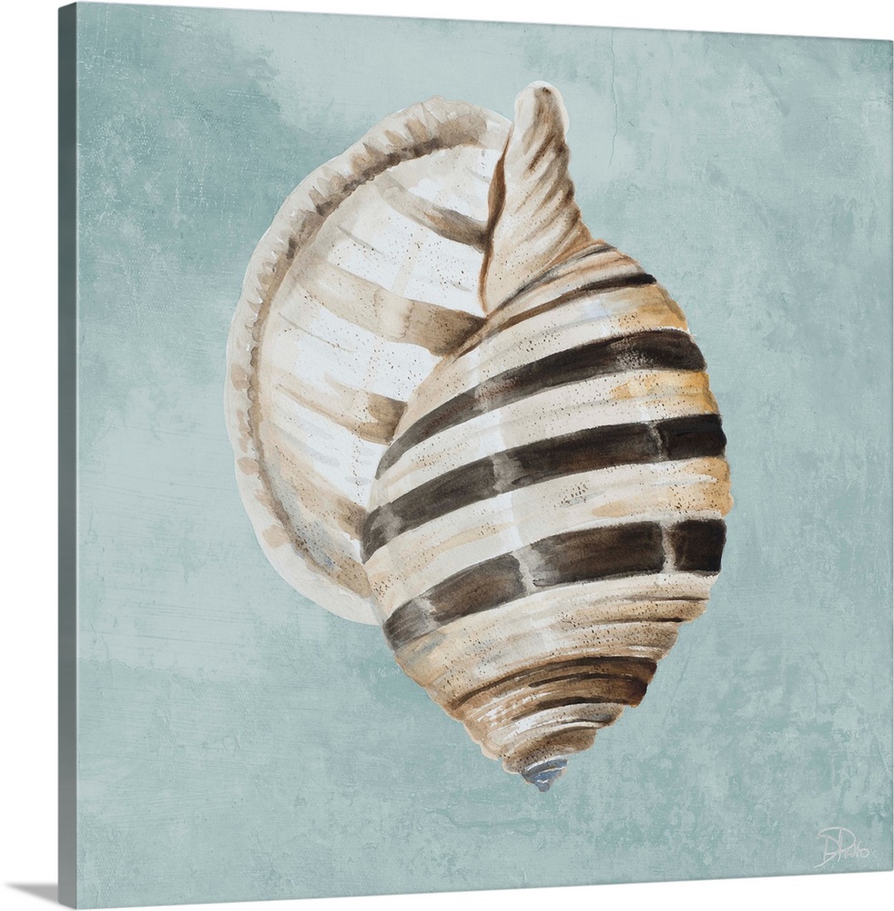 A watercolor painting of a brown striped seashell on a light teal background.