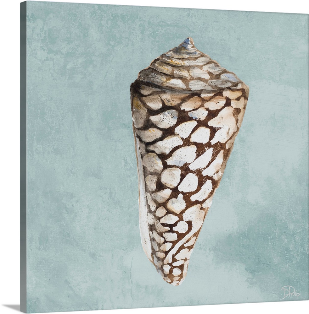 A watercolor painting of a seashell on a light teal background.