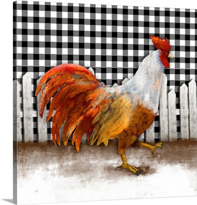Morning Rooster I