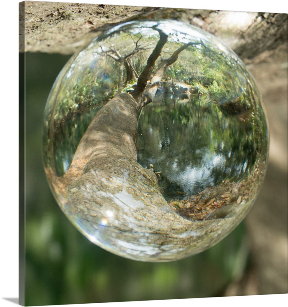 This macro photograph of a watercolor droplet features a reflection of a branch over a pond.