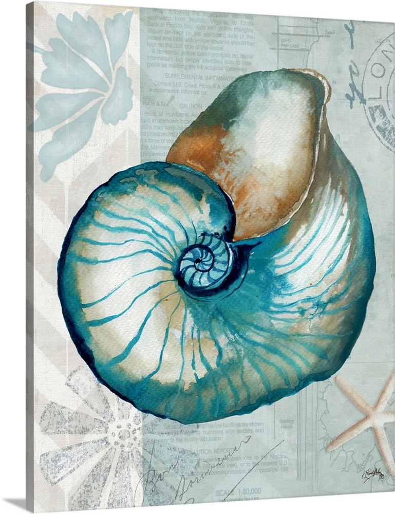 A watercolor painting of a seashell on a decorative nautical background.