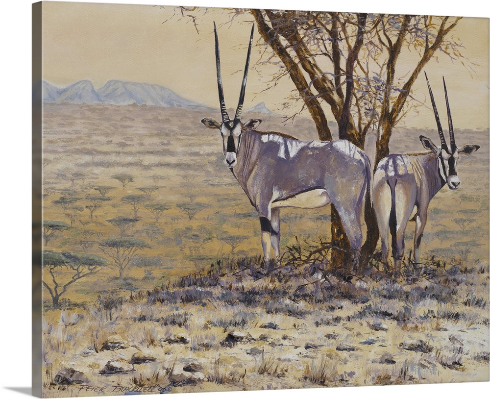 Painting of two Oryxes standing next to a tree in the African plain.